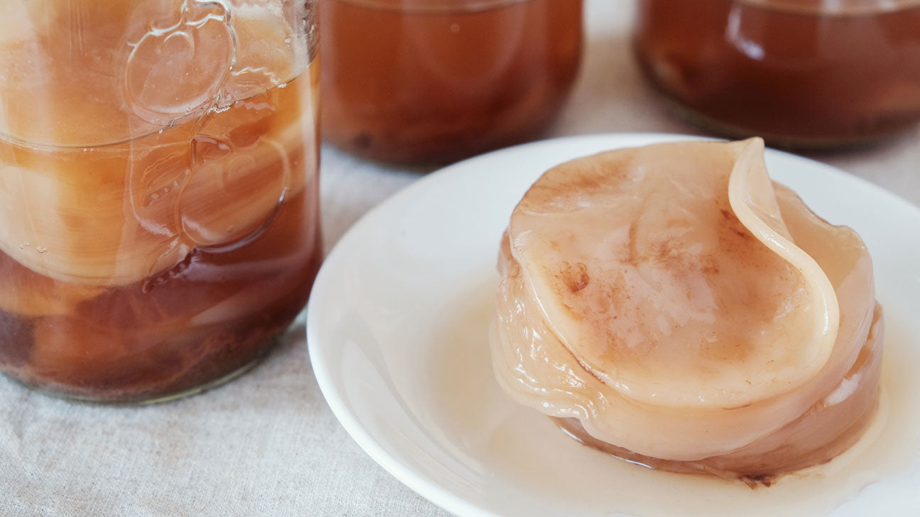 kombucha-scoby-1296x728-feature.jpg