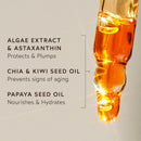 Renew Pure Radiance Oil | All Skin Types | Anti-Aging Face Oil W/Algae Extract | Treats Fine Lines & Wrinkles | Dermatologist Tested, All Natural, Vegan | 1 Fl Oz | 30 Ml