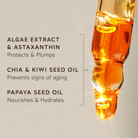 Renew Pure Radiance Oil | All Skin Types | Anti-Aging Face Oil W/Algae Extract | Treats Fine Lines & Wrinkles | Dermatologist Tested, All Natural, Vegan | 1 Fl Oz | 30 Ml