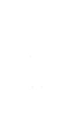 Propolis Extract Serum